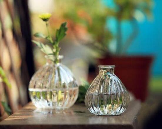 康乃馨如何水养，5个步骤教你养出漂亮的康乃馨