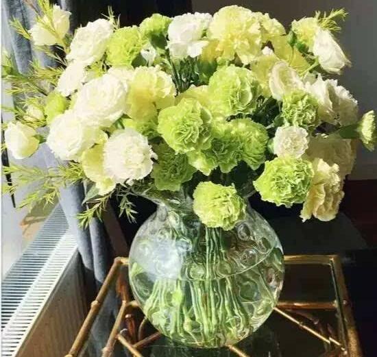 康乃馨如何水养，5个步骤教你养出漂亮的康乃馨