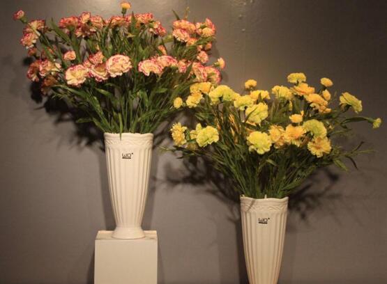 康乃馨花谢后如何处理，及时修剪浇营养液可再次开花