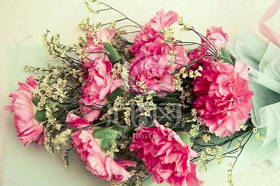 康乃馨一般送几朵，康乃馨送母亲几朵最好(16朵)