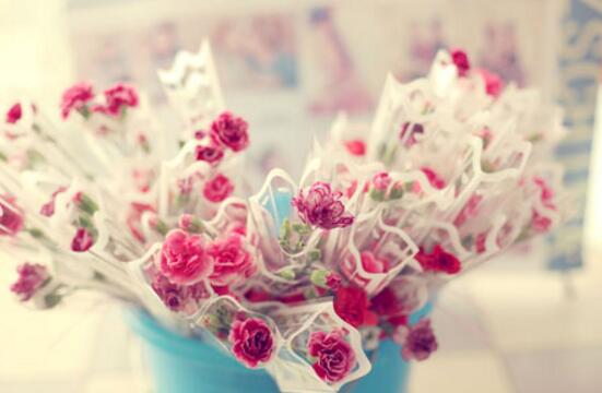 康乃馨一般送几朵，康乃馨送母亲几朵最好(16朵)