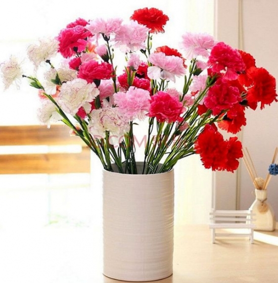 康乃馨 不同颜色的康乃馨适合送什么人?