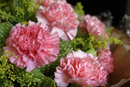 康乃馨 不同颜色的康乃馨适合送什么人?