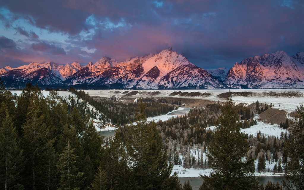冰天雪地中，堆满积雪的云杉树木景色图片