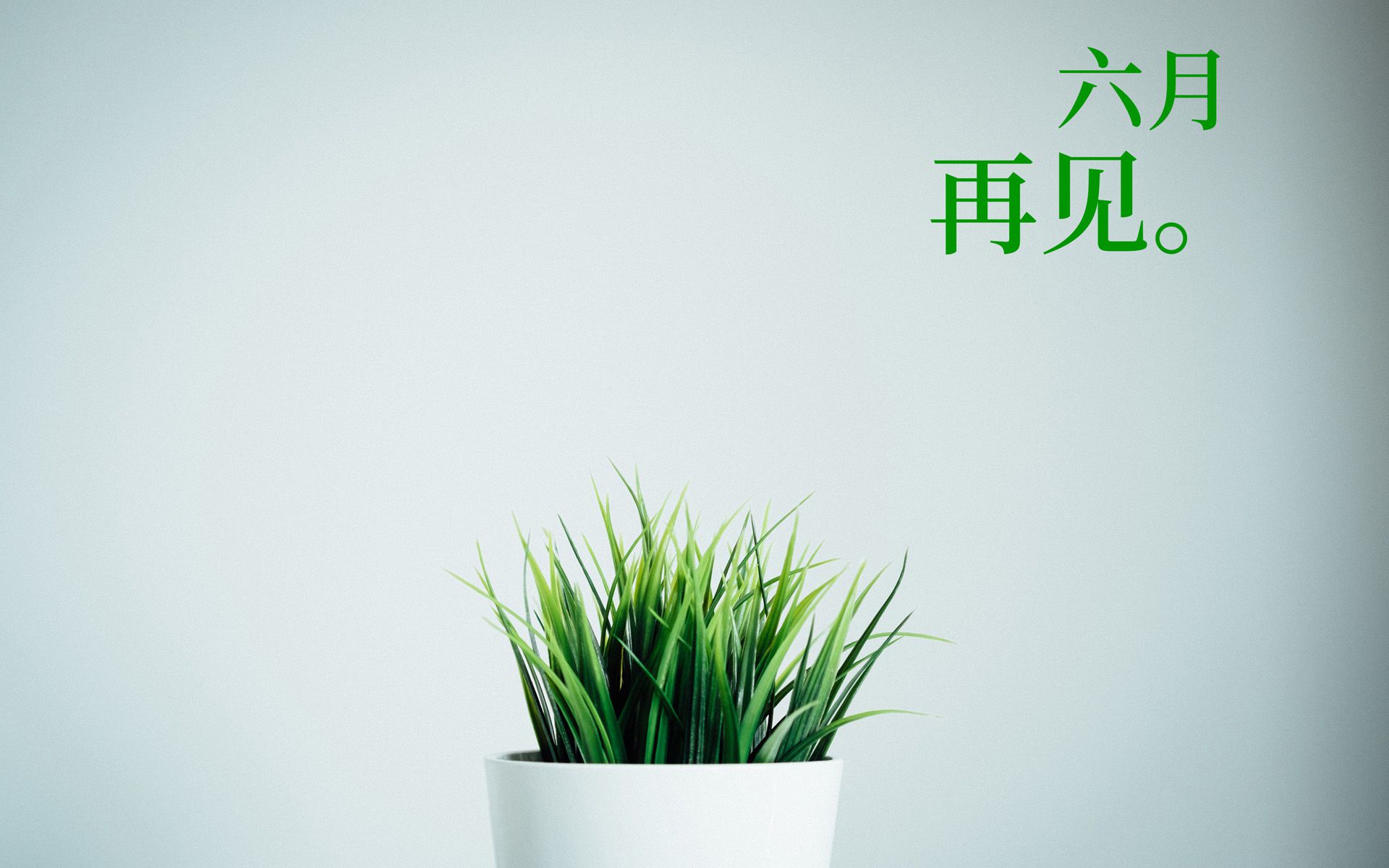 以室内绿植，多肉，盆栽等植物为背景的6月再见小清新壁纸图片