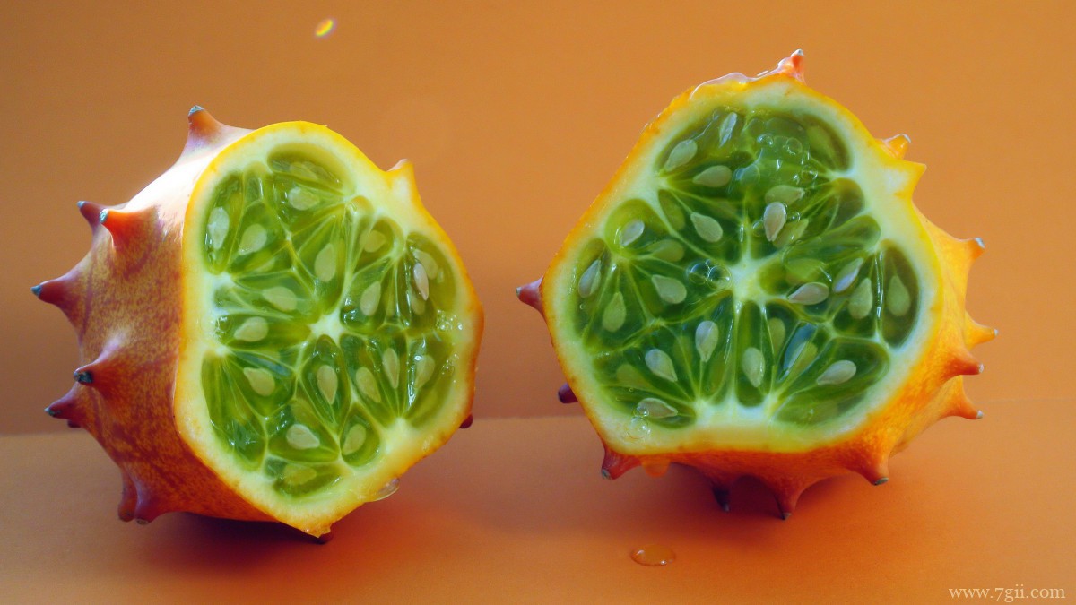 清甜的刺角瓜图片