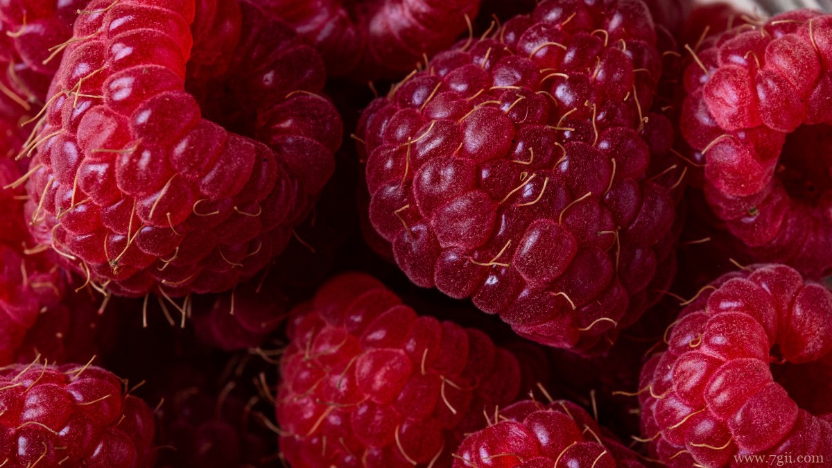 香甜可口的树莓图片