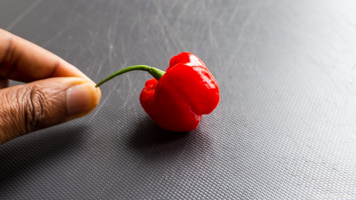 高清柿子椒图片