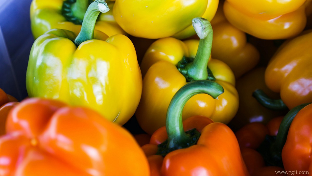 高清柿子椒图片