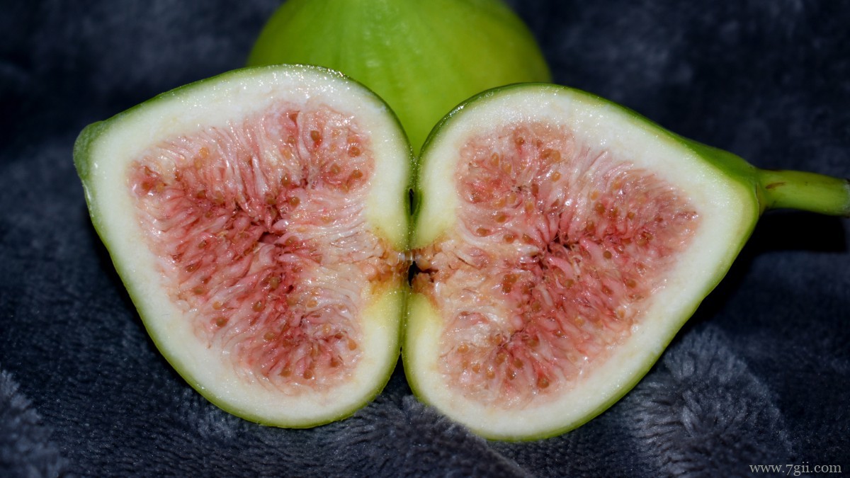 好吃的无花果图片