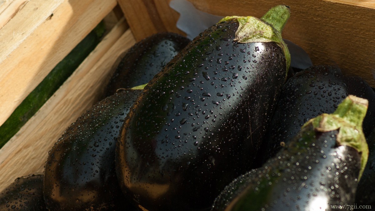 紫色茄子图片大全