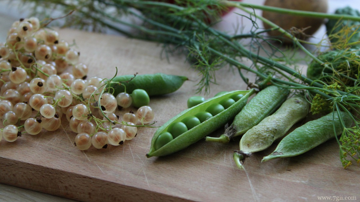 高清豌豆图片大全大图