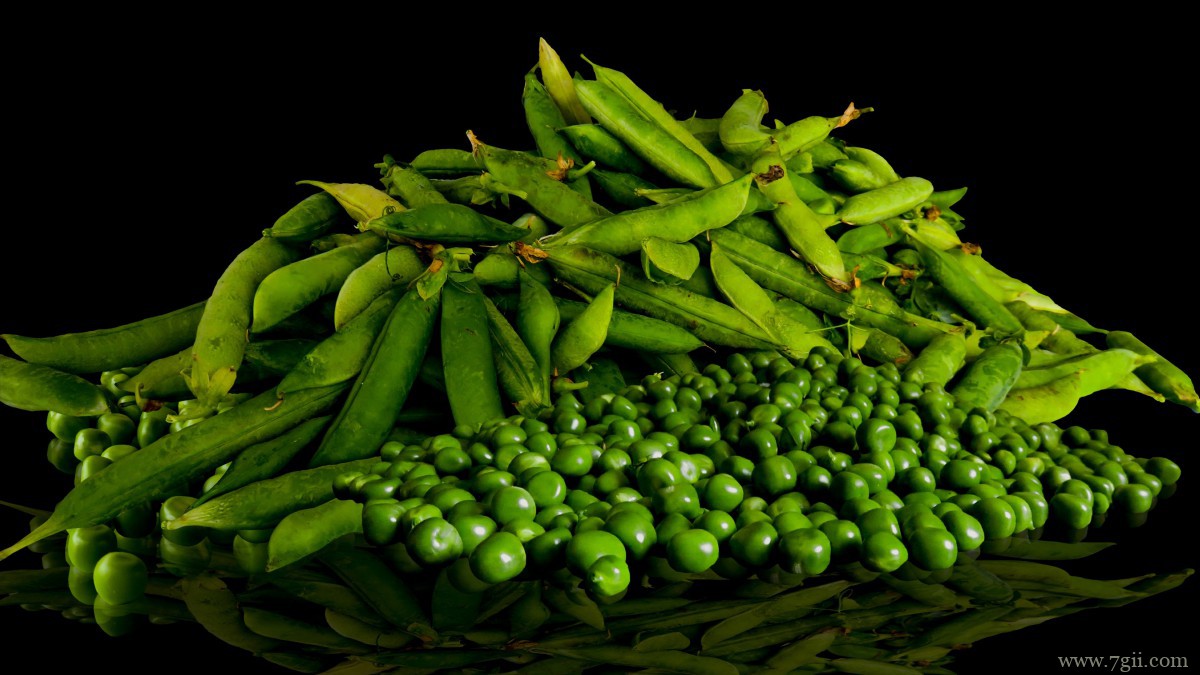 高清豌豆图片大全大图