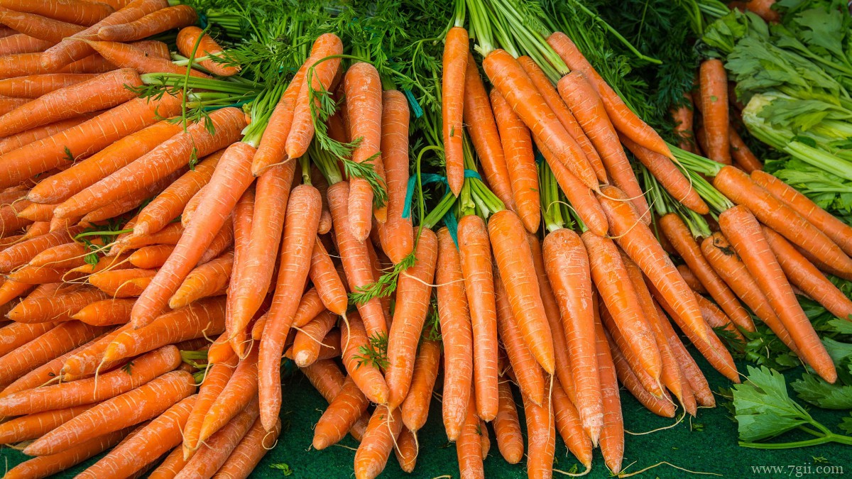 胡萝卜图片大全