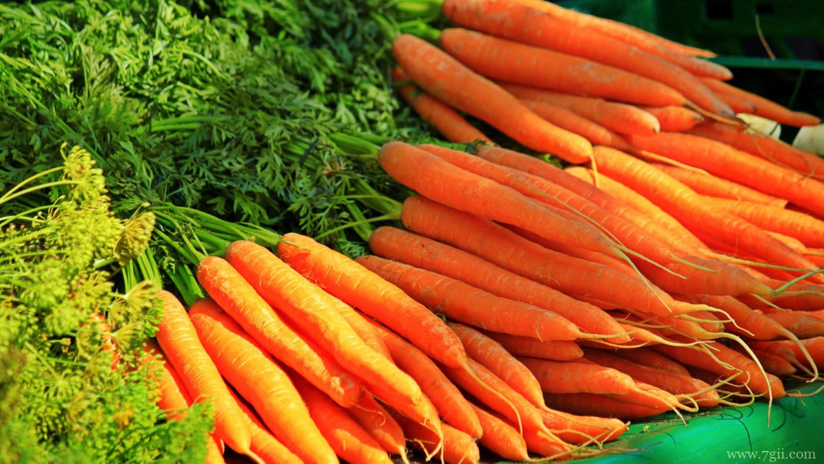 胡萝卜图片大全