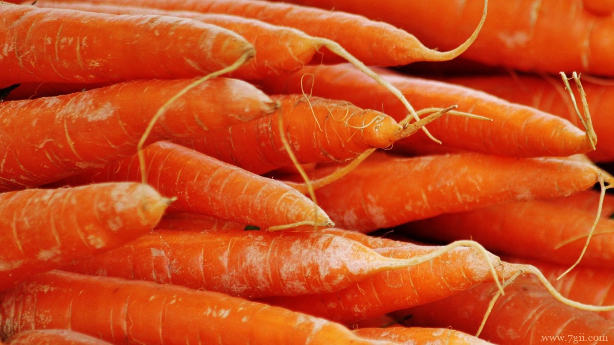 胡萝卜图片大全