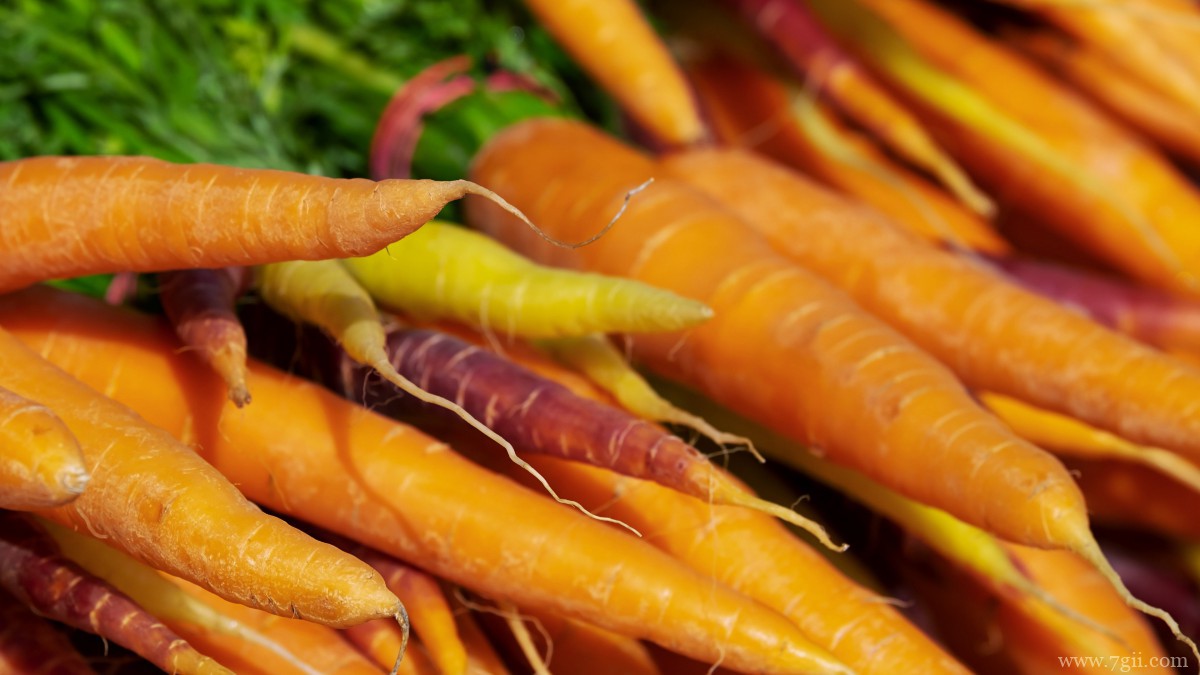 胡萝卜图片大全