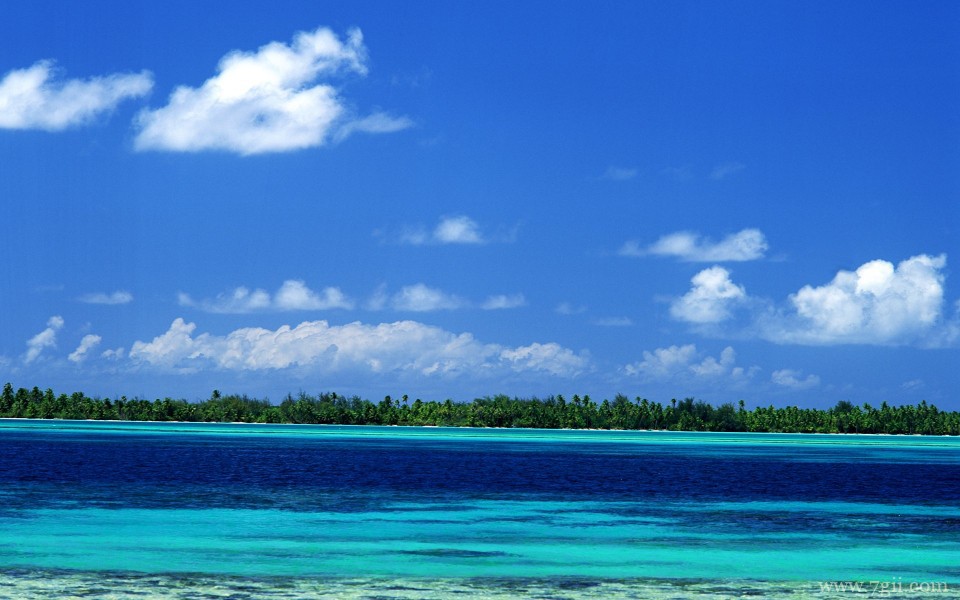 美丽花卉美景高清宽屏壁纸