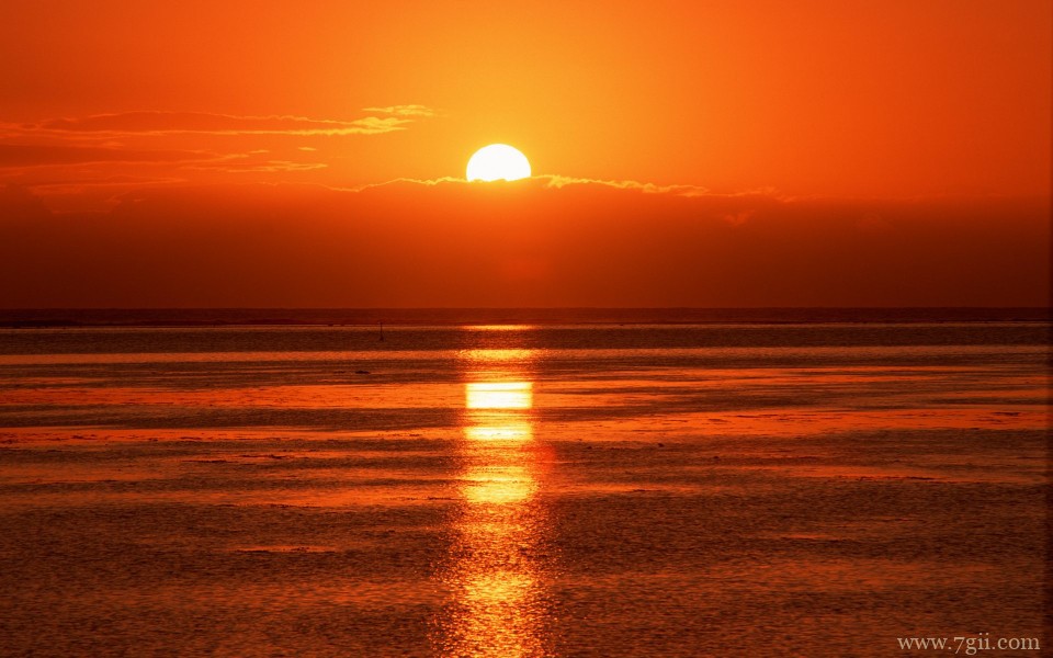 美丽花卉美景高清宽屏壁纸