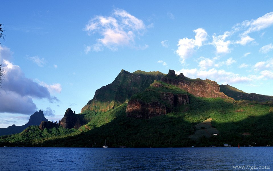 美丽花卉美景高清宽屏壁纸