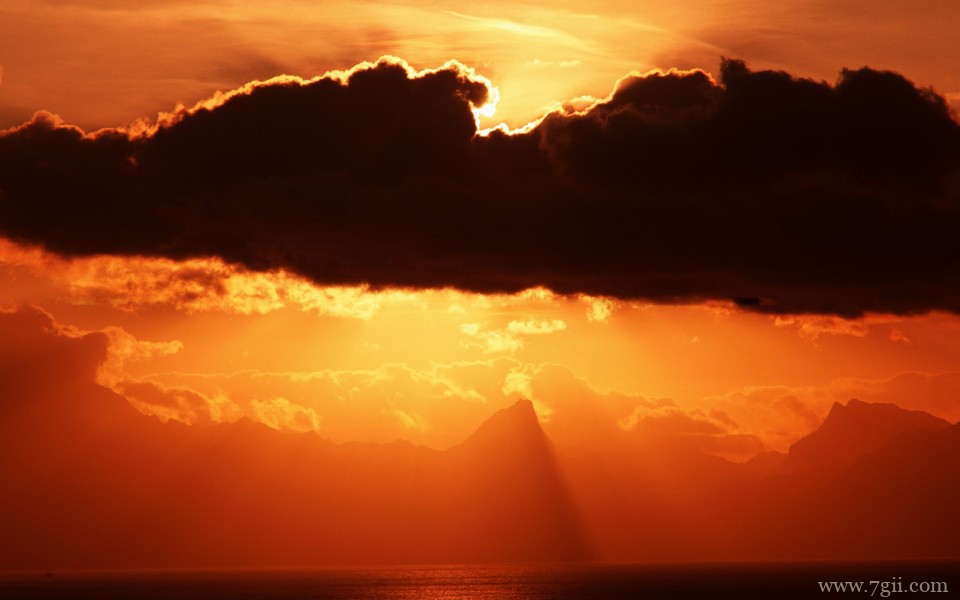 美丽花卉美景高清宽屏壁纸