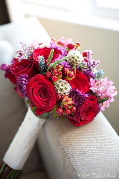 小清新意境花卉图集