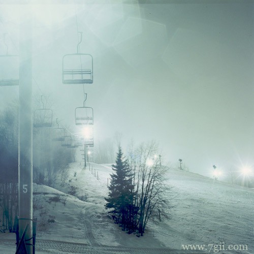 意境小清新花卉美景图片(1 /6 )