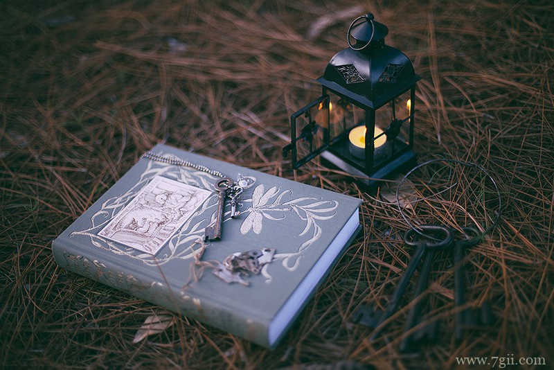 lomo意境花卉书籍图片(1 /6 )