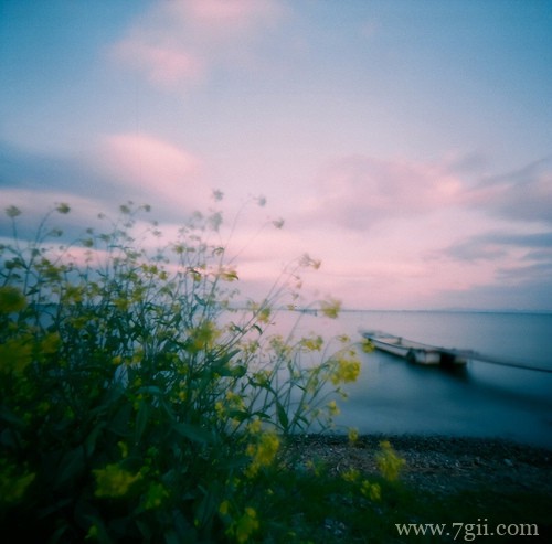 lomo意境花卉书籍图片(1 /6 )