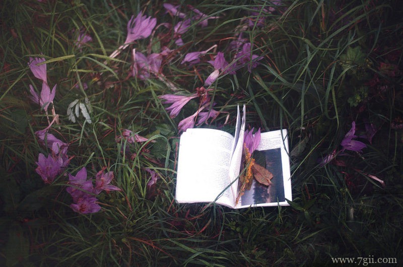 lomo意境花卉书籍图片(1 /6 )