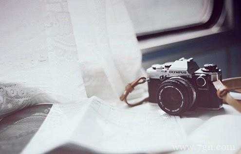 森系意境花卉风景图片(1 /6 )