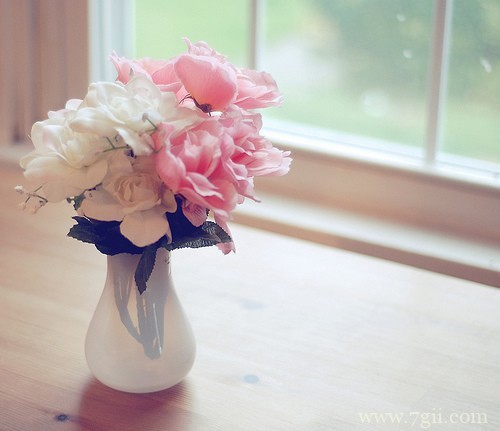 森系意境花卉风景图片(1 /6 )