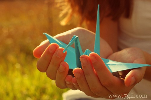 小清新花卉意境美图