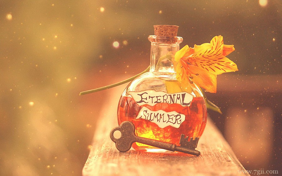 自然唯美花卉高清壁纸大图