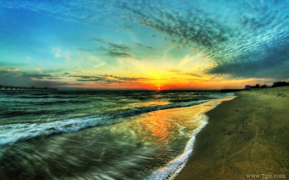 精选紫色花卉高清绿色壁纸