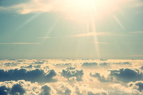 春天清新花卉风景图片大全(1 /6 )