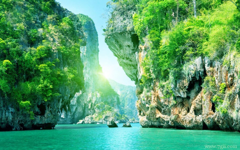 姹紫嫣红的小清新花卉壁纸