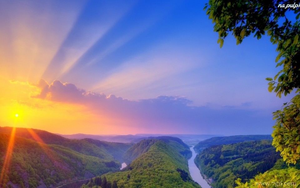 姹紫嫣红的小清新花卉壁纸