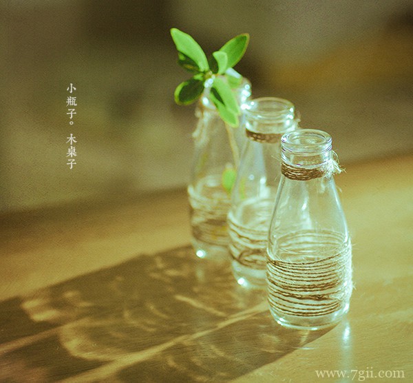 清新绿色花卉风景图片大全(1 /6 )