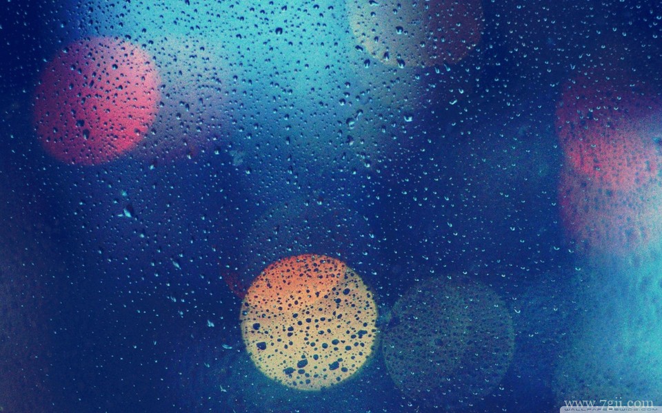 唯美紫色室内花卉壁纸高清