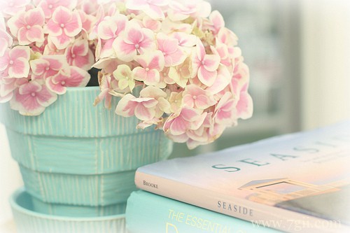 高清唯美花儿风景图片合集(1 /6 )