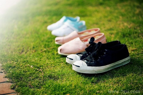 小清新唯美花卉风景图片