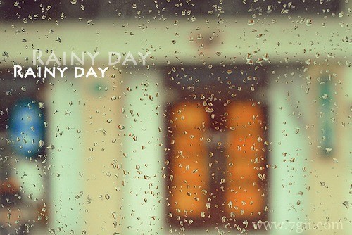 小清新唯美花卉风景图片