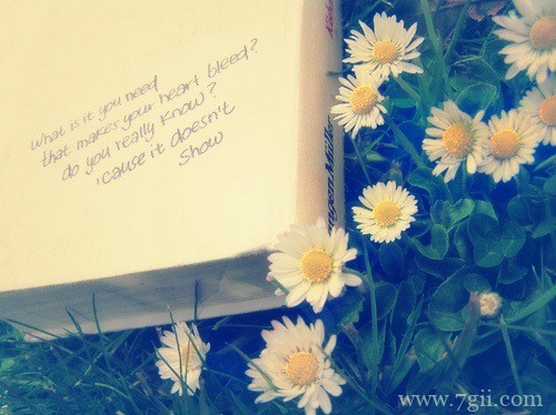 小清新唯美花卉风景图片