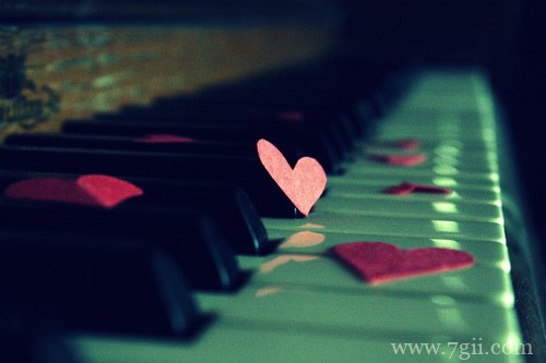 小清新唯美花卉风景图片