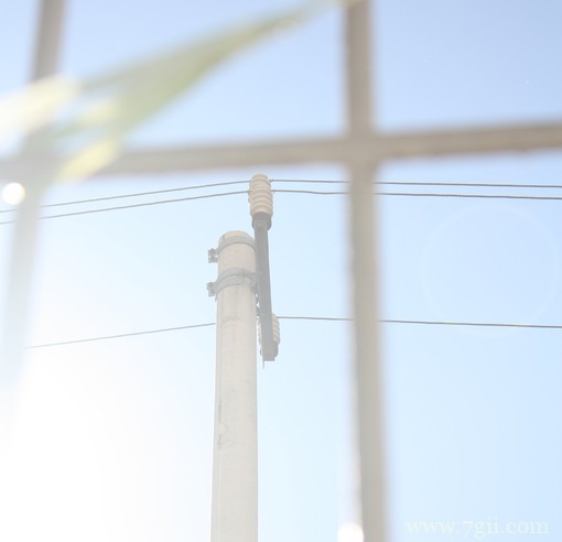 小清新唯美花卉风景图片