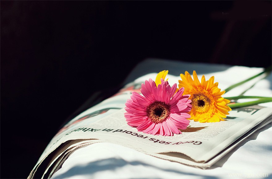 唯美小清新花卉风景图片大全