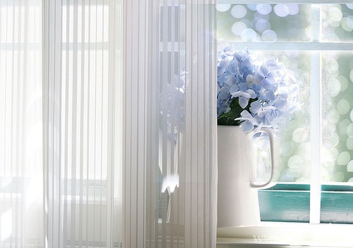 唯美小清新花卉意境图片大全