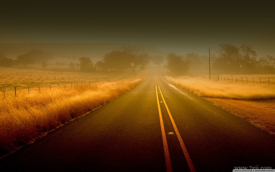 小清新唯美花卉高清护眼壁纸