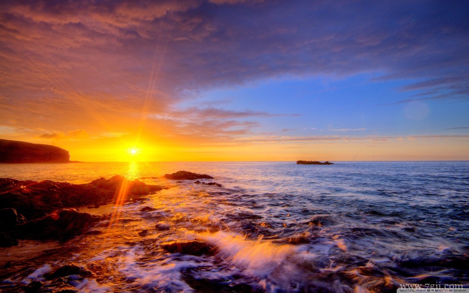 小清新唯美花卉高清护眼壁纸